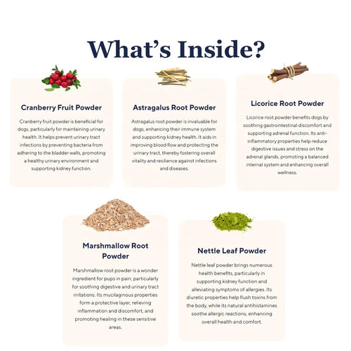 Urinary & Bladder Support Chews — UTI Relief, Bladder Health & Urinary Defense for Dogs