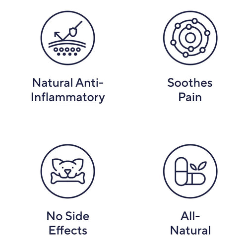 Dog Supplement for All Types of Pain Relief Helps Manage Pet Health Care