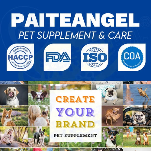 Dog Supplement for All Types of Pain Relief Helps Manage Pet Health Care