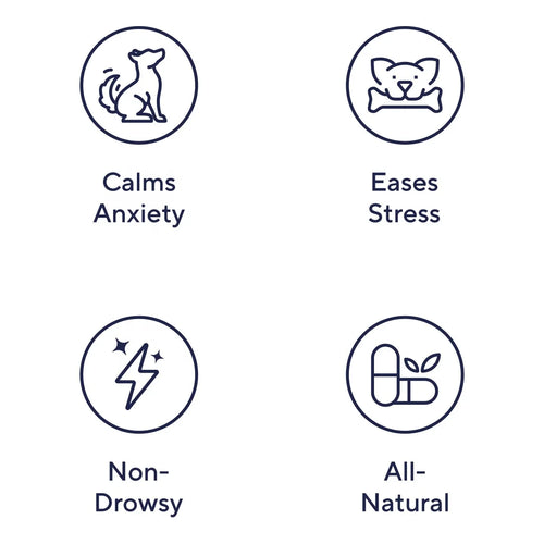 Calm Chews — Anxiety Relief & Stress Support for Dogs