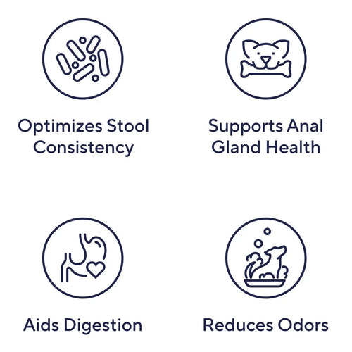 Anal Gland Chews — Scooting Relief, Gland Health & Digestive Support for Dogs