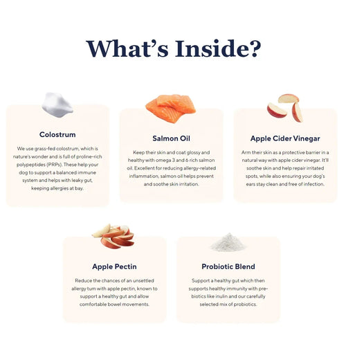 Allergy & Immune Support Chews - Anti-Itch, Skin Relief & Seasonal Allergy Defense for Dogs