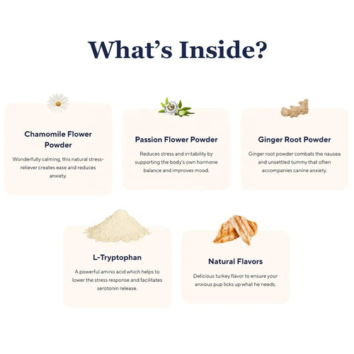 Calm Chews — Anxiety Relief & Stress Support for Dogs