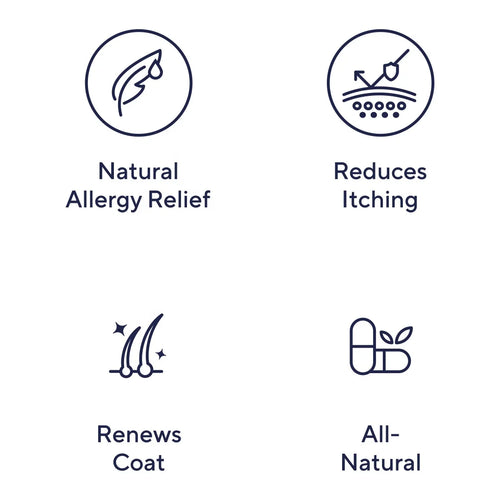 Pet Supplement Salmon Oil Support Health Skin and Coat Dog Omega 3 Supplement Soft Chews for Dogs Cats