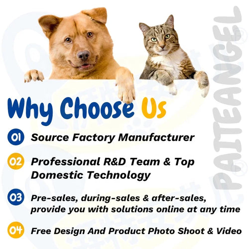 Pet Supplement Salmon Oil Support Health Skin and Coat Dog Omega 3 Supplement Soft Chews for Dogs Cats