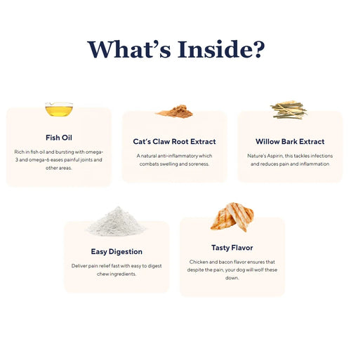 Dog Supplement for All Types of Pain Relief Helps Manage Pet Health Care