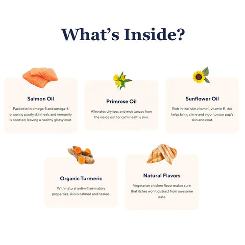 Pet Supplement Salmon Oil Support Health Skin and Coat Dog Omega 3 Supplement Soft Chews for Dogs Cats
